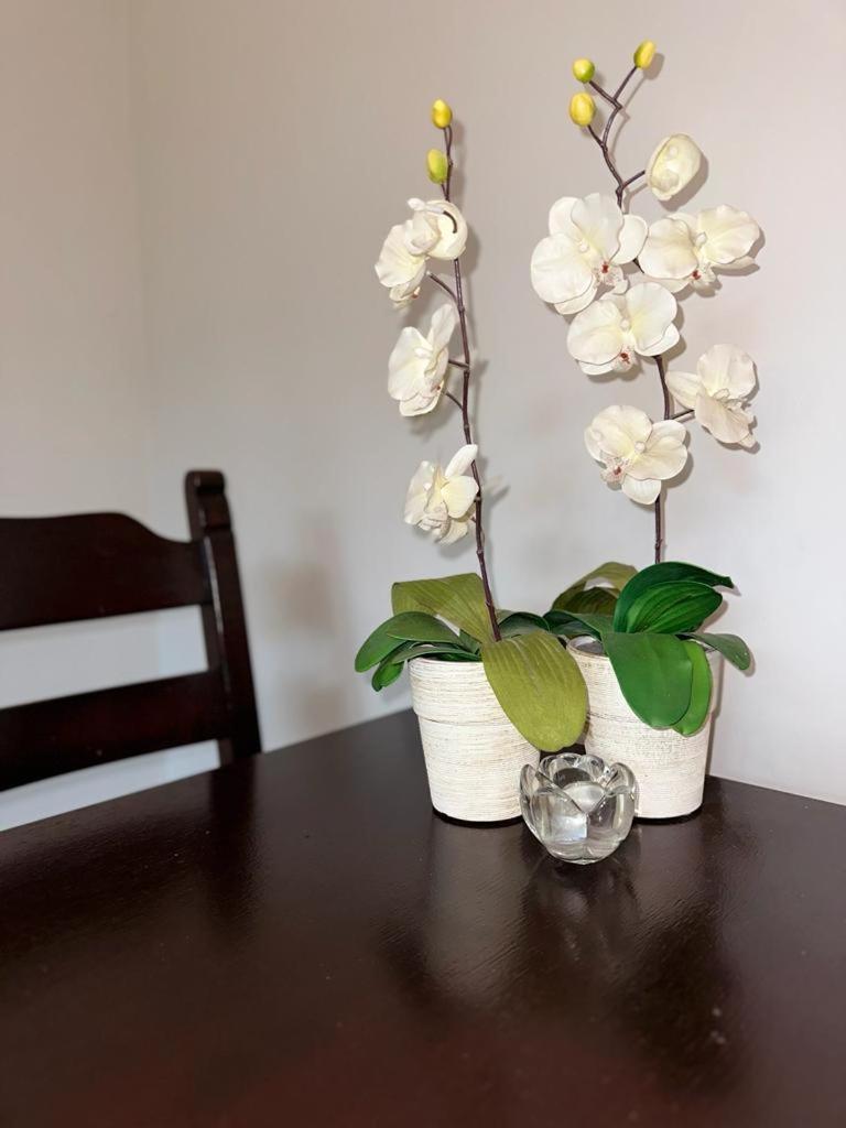 Apartament Przy Rynku Poznań Esterno foto